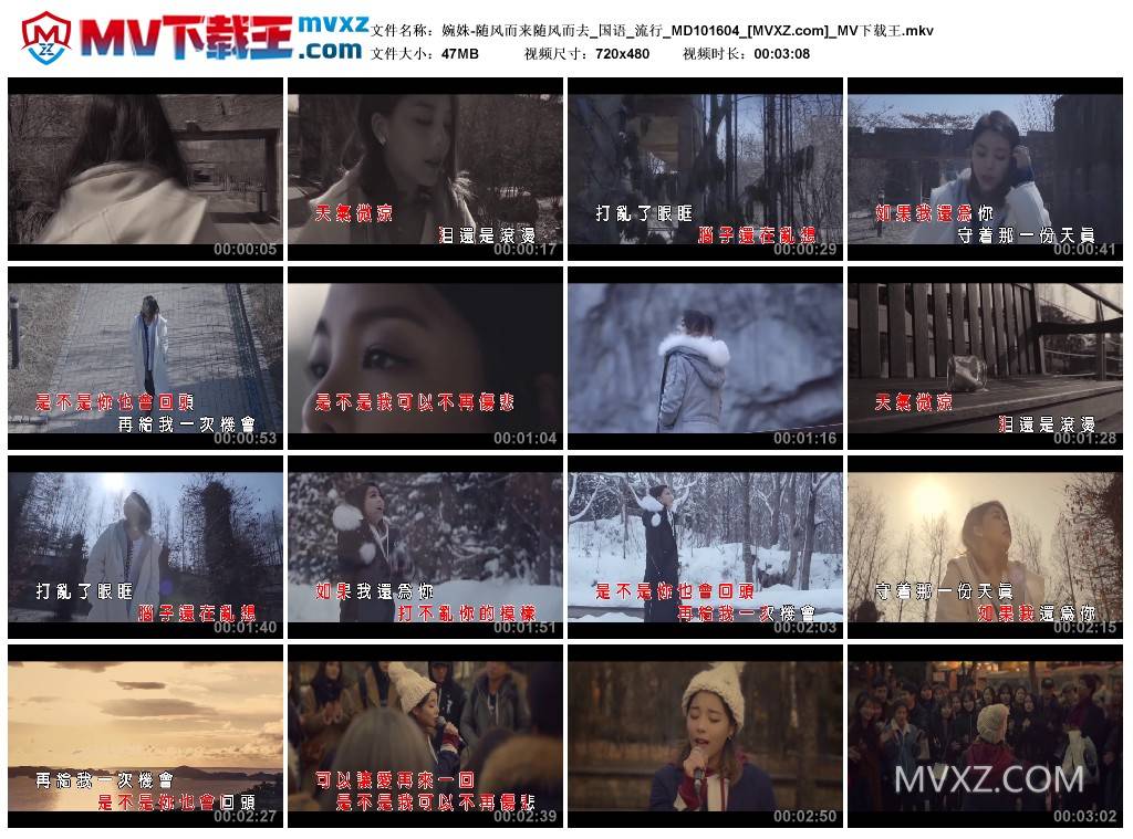 婉姝-随风而来随风而去_国语_流行_MD101604